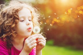 a little girl blows on a dandelion