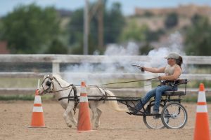 Sara and her blind horse, Tazz in Pueblo West
